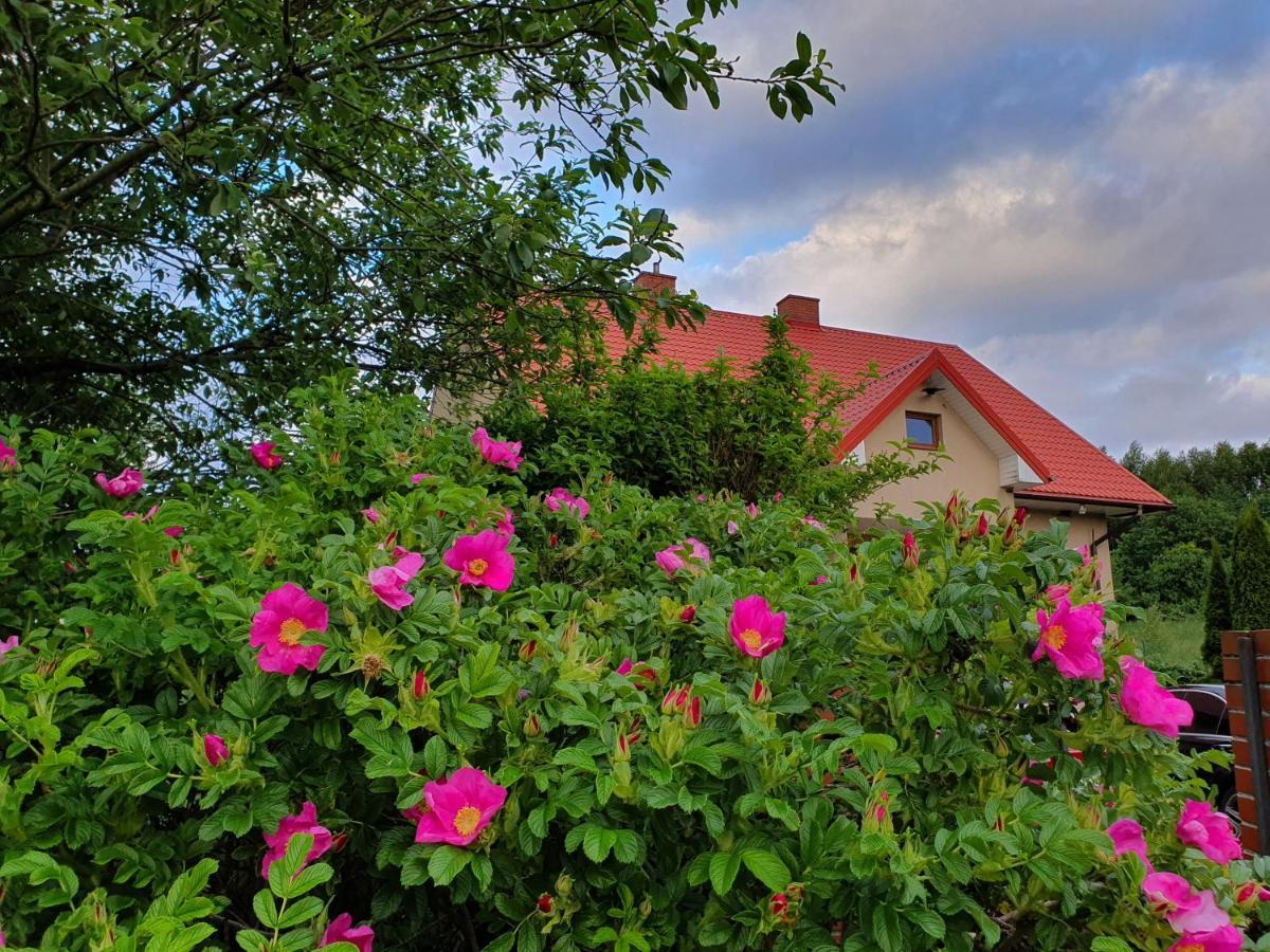 Morskie Zacisze Oslonino Exteriér fotografie